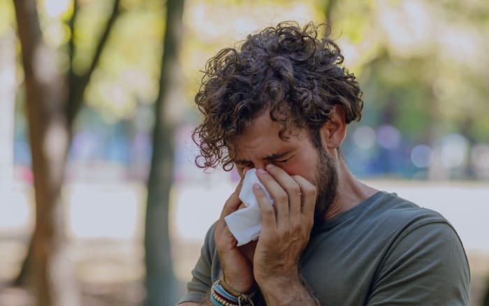 ALEX&sup3; Allergy Test